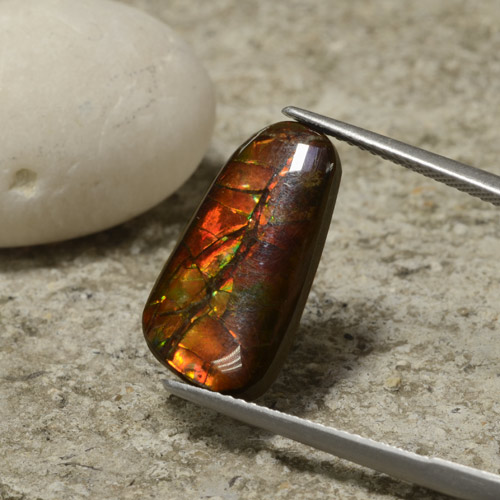 Ammolita multicolorido natural 6,70ct, forma extravagante, opaco