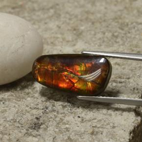 Ammolita multicolorido natural 6,70ct, forma extravagante, opaco