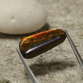Ammolita multicolorido natural 6,70ct, forma extravagante, opaco