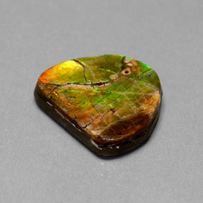 Ammolita multicolorido natural 7,00ct, forma extravagante, opaco