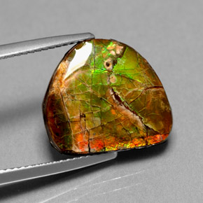 Ammolita multicolorido natural 7,00ct, forma extravagante, opaco
