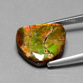 Ammolita multicolorido natural 7,00ct, forma extravagante, opaco