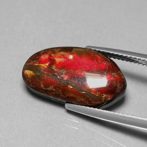 Ammolita multicolorido natural 7,65ct, forma extravagante, opaco
