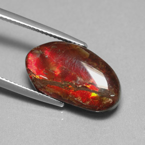 Ammolita multicolorido natural 7,65ct, forma extravagante, opaco