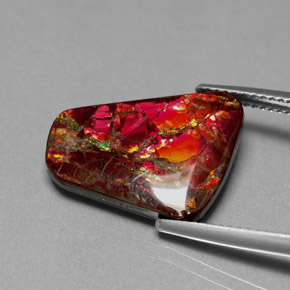 Ammolita multicolorido natural 7,81ct, forma extravagante, opaco