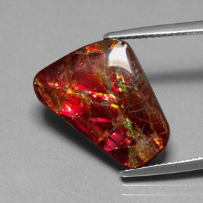 Ammolita multicolorido natural 7,81ct, forma extravagante, opaco