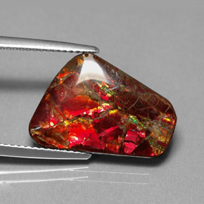 Ammolita multicolorido natural 7,81ct, forma extravagante, opaco