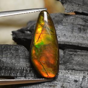 Ammolita multicolorido natural 8,00ct, forma extravagante, opaco