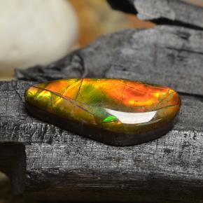 Ammolita multicolorido natural 8,00ct, forma extravagante, opaco