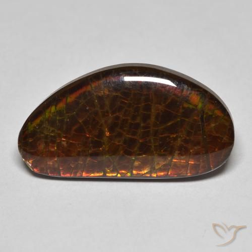 8.23ct Natural Multicolorido amolita, Chique, Opaco