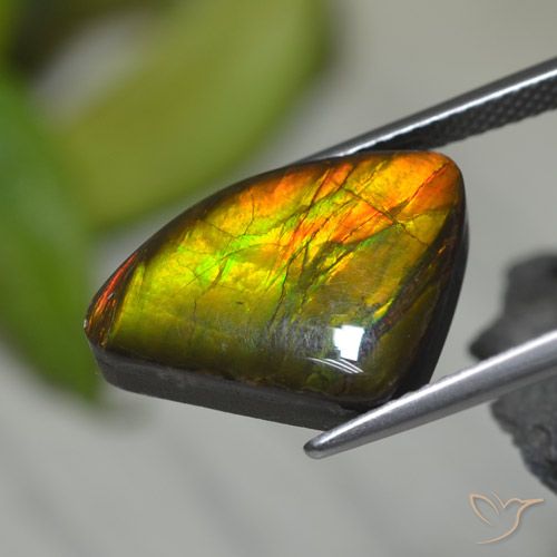 Ammolita multicolorido natural 8,39ct, forma extravagante, opaco