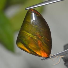 Ammolita multicolorido natural 8,39ct, forma extravagante, opaco
