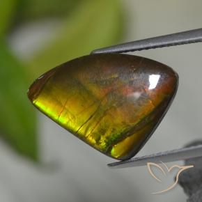 Ammolita multicolorido natural 8,39ct, forma extravagante, opaco
