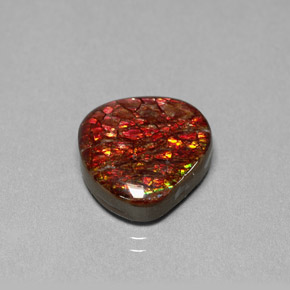 Amolita Multicolorido Natural 8.47ct, Forma extravagante, Opaco