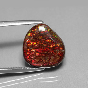 Amolita Multicolorido Natural 8.47ct, Forma extravagante, Opaco