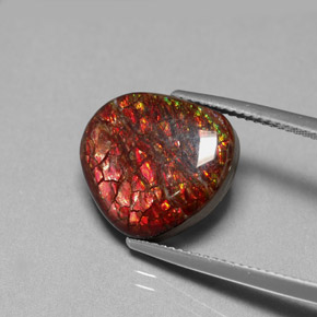 Amolita Multicolorido Natural 8.47ct, Forma extravagante, Opaco