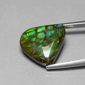 Ammolita multicolorido natural 8,69ct, forma extravagante, opaco