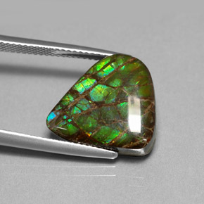 Ammolita multicolorido natural 8,69ct, forma extravagante, opaco