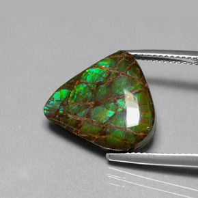 Ammolita multicolorido natural 8,69ct, forma extravagante, opaco