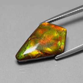 Ammolita multicolorido natural 8,80ct, forma extravagante, opaco