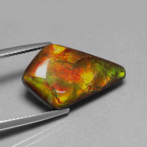 Ammolita multicolorido natural 8,80ct, forma extravagante, opaco