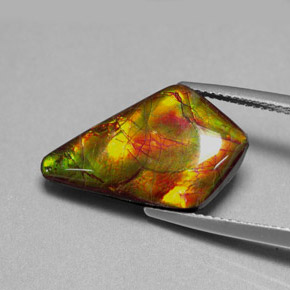 Ammolita multicolorido natural 8,80ct, forma extravagante, opaco