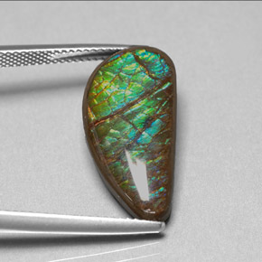Ammolita multicolorido natural 9,39ct, forma extravagante, opaco