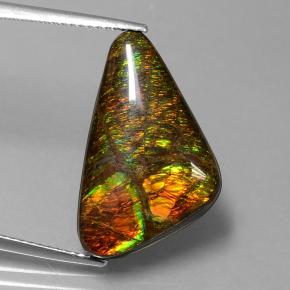 Ammolita multicolorido natural 9,50ct, forma extravagante, opaco