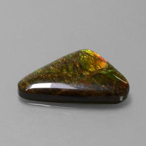 Ammolita multicolorido natural 9,50ct, forma extravagante, opaco
