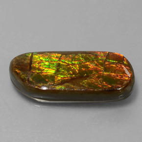 Amolita Multicolorido Natural 9.77ct, Forma extravagante, Opaco