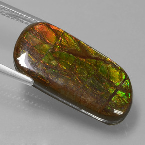 Amolita Multicolorido Natural 9.77ct, Forma extravagante, Opaco
