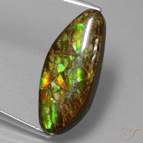 9.86ct Natural Multicolorido amolita, Chique, Opaco