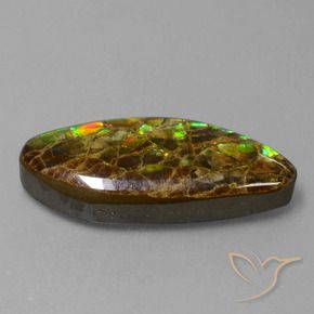 amolita Multicolorido Natural 9.86ct, Chique, Opaco