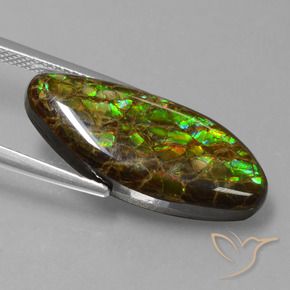 amolita Multicolorido Natural 9.86ct, Chique, Opaco