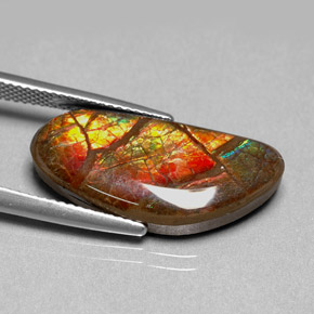 Amolita Multicolorido Natural 9.95ct, Forma extravagante, Opaco