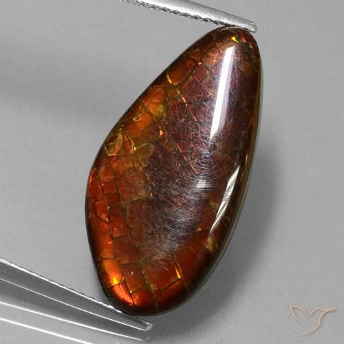9.99ct Natural Multicolorido amolita, Chique, Opaco