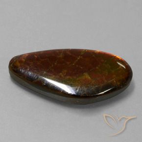 amolita Multicolorido Natural 9.99ct, Chique, Opaco