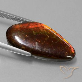 amolita Multicolorido Natural 9.99ct, Chique, Opaco