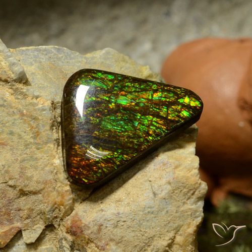 10.34ct Natural Multicolorido amolita, Trilhão, Opaco
