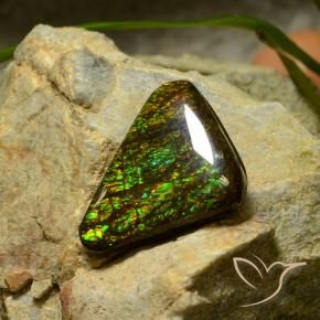 amolita Multicolorido Natural 10.34ct, Trilhão, Opaco