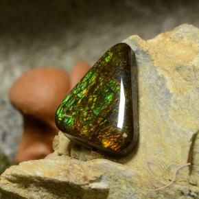 amolita Multicolorido Natural 10.34ct, Trilhão, Opaco