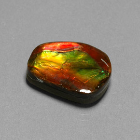Ammolita multicolorido natural 10,55ct, forma extravagante, opaco