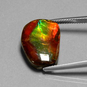 Ammolita multicolorido natural 10,55ct, forma extravagante, opaco