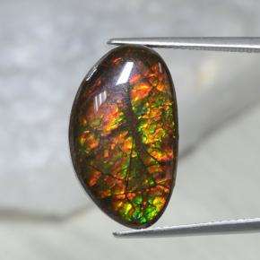 Ammolita multicolorido natural 10,69ct, forma extravagante, opaco