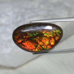 Ammolita multicolorido natural 10,69ct, forma extravagante, opaco