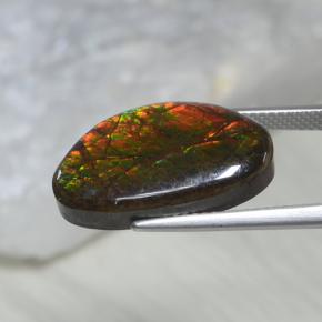 Ammolita multicolorido natural 10,69ct, forma extravagante, opaco