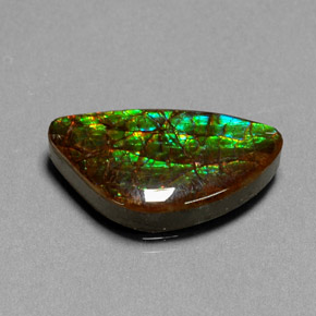 Ammolita multicolorido natural 11,25ct, forma extravagante, opaco