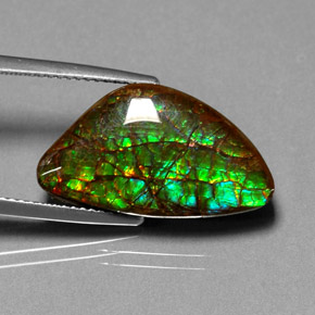 Ammolita multicolorido natural 11,25ct, forma extravagante, opaco