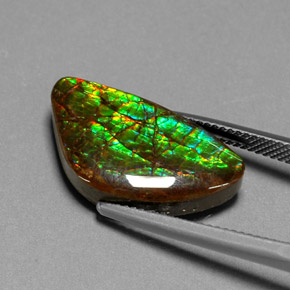 Ammolita multicolorido natural 11,25ct, forma extravagante, opaco