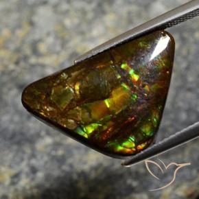 amolita Multicolorido Natural 11.39ct, Chique, Opaco